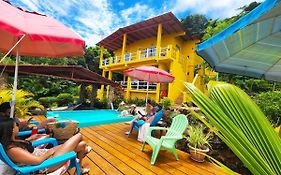 Cerrito Tropical Eco Lodge